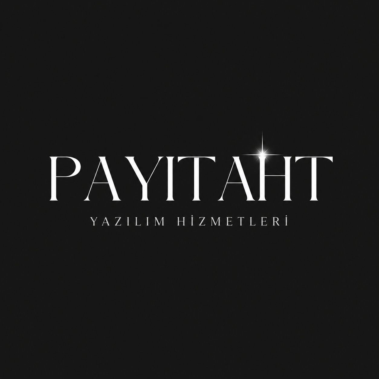 Payitaht Software
